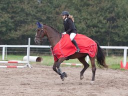 IMG_8042_web